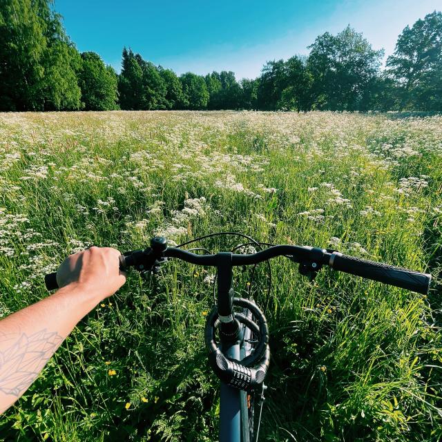 vélo en nature