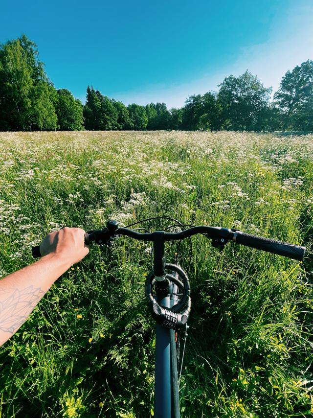 vélo en nature