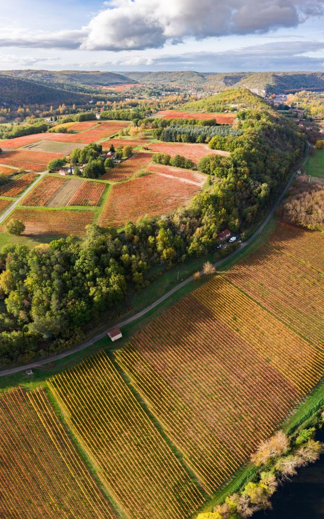 Vignoble de Cahors en automne à Luzech