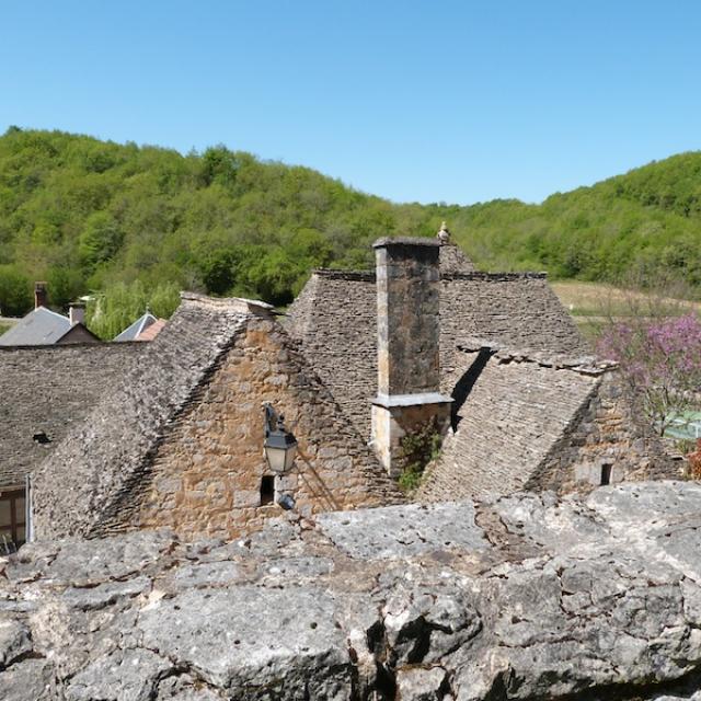 Toits en lauze de St Amand de Coly