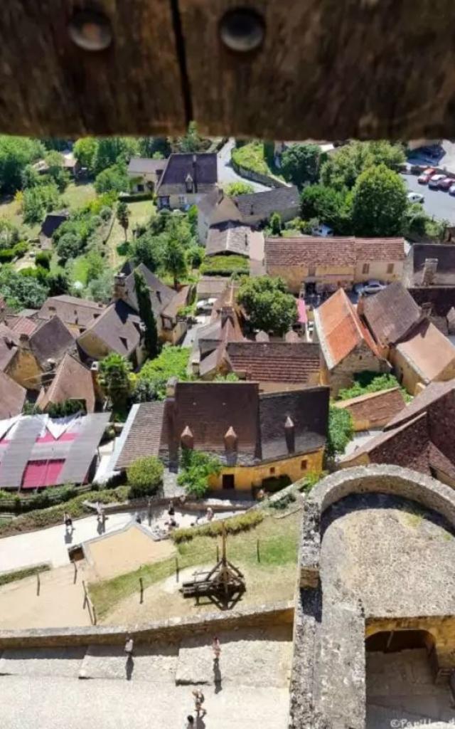 Vue du château de Castelnaud