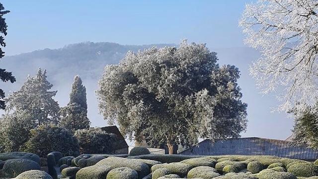 Instagram #jardinsdemarqueyssac