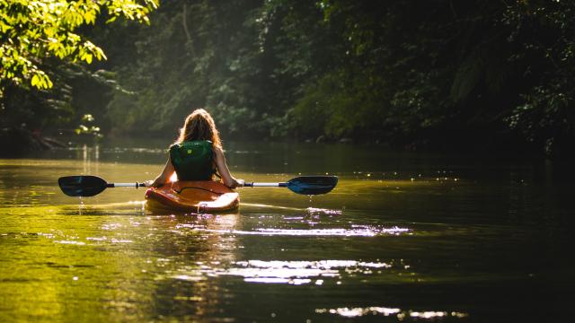 Canoe Filip Mroz Unsplash