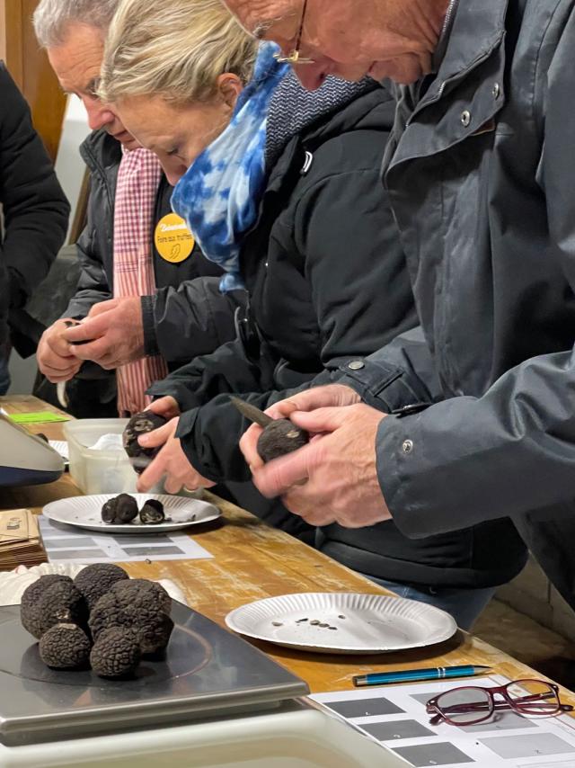 Foire Truffes Cuzance