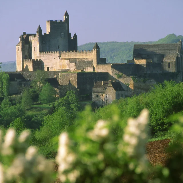 3937 Chateau De Beynac Ot Intercommunal Du Perigord Noir