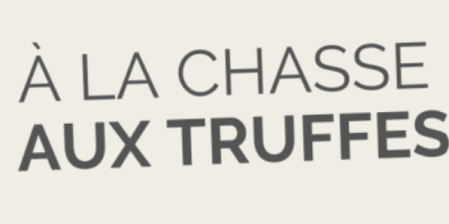 Chasse Aux Truffes