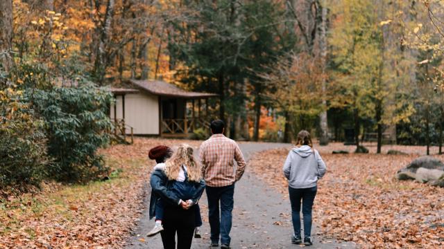 Automne En Famille