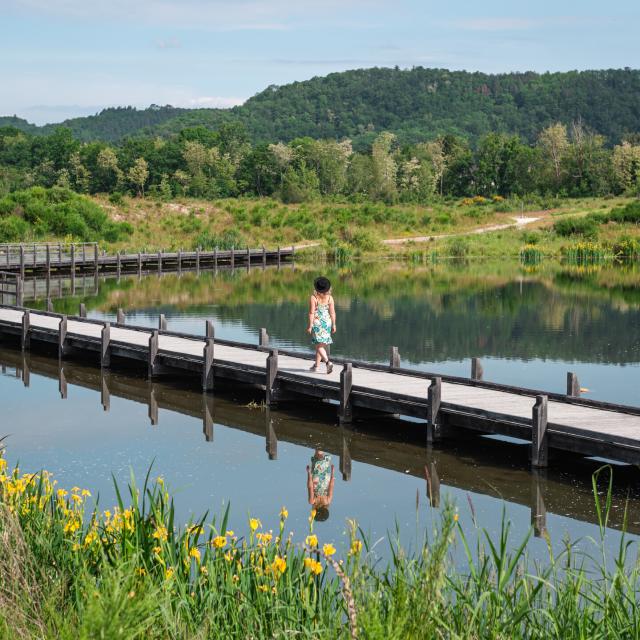 Réserve départementale de biodiversité d'Argentat-sur-Dordogne