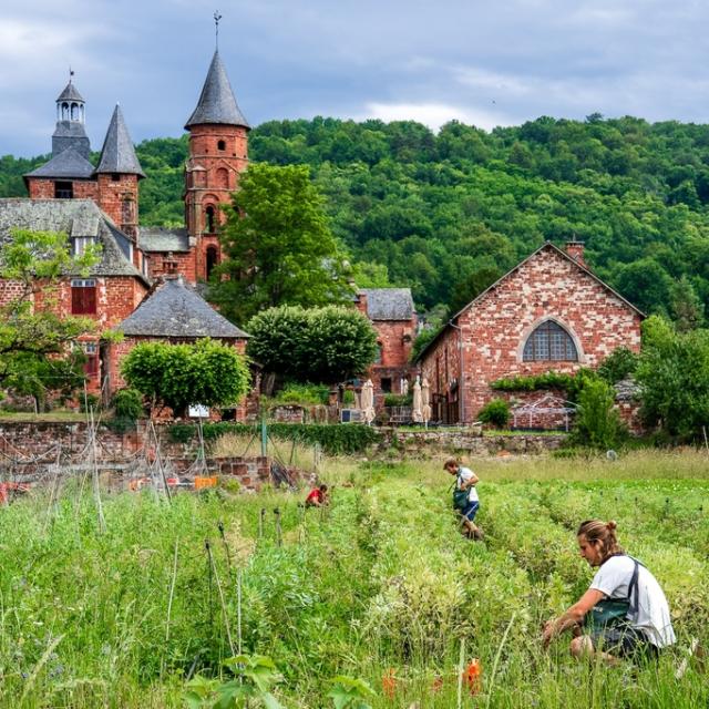 Instagram #collonges