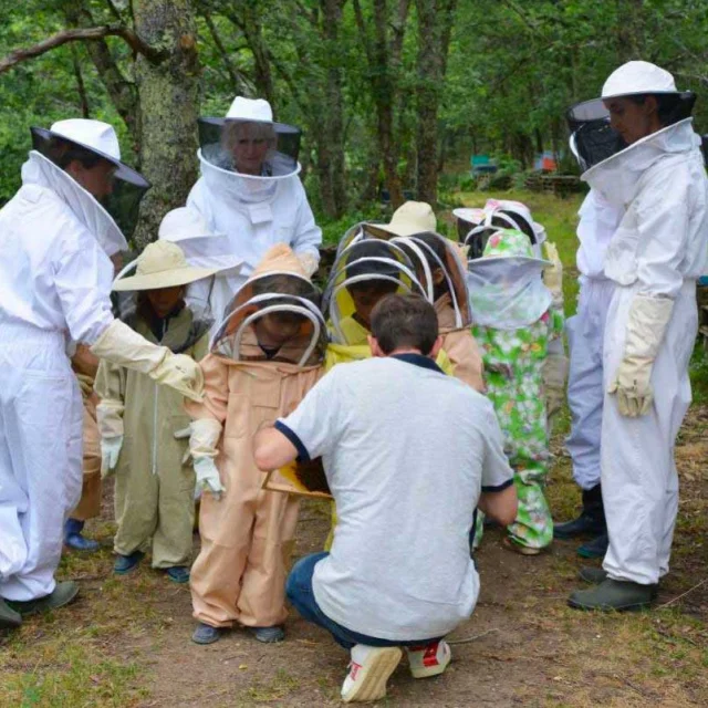 Apprentis apiculteurs au Parc animalier de Gramat