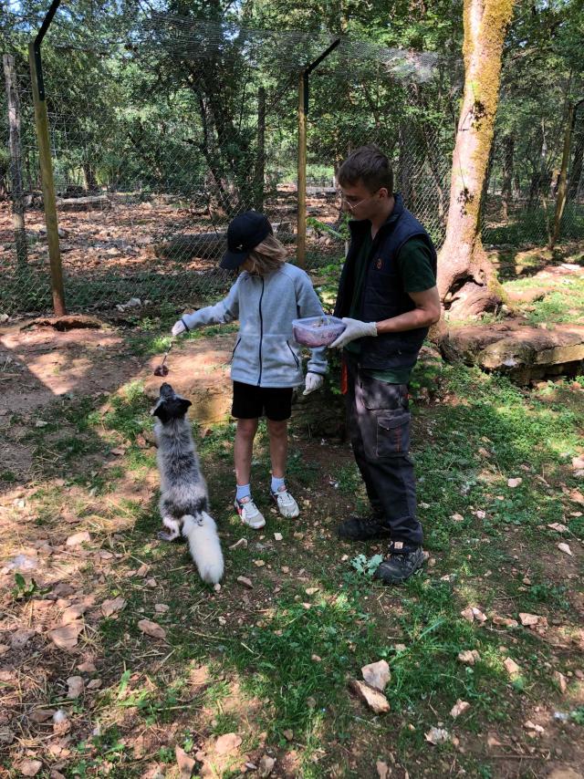 Soigneur Un Jour Parc Animalier Gramat