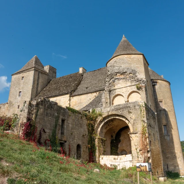 Chateau-de-Salignac-Lea-Denez.jpg