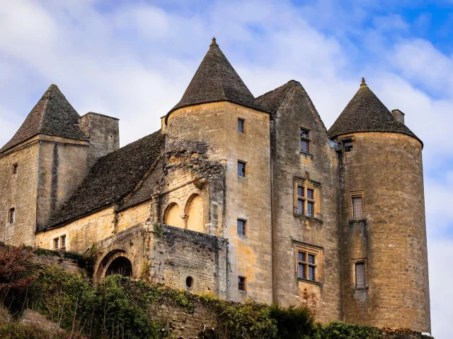 Chateau De Salignac @philippe Lafon