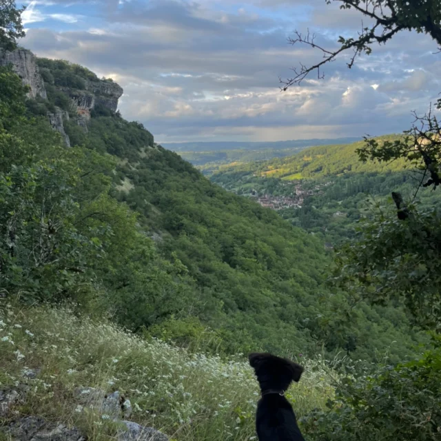 Panorama-sur-la-vallee-de-la-Dordogne-depuis-la-falaise.jpg