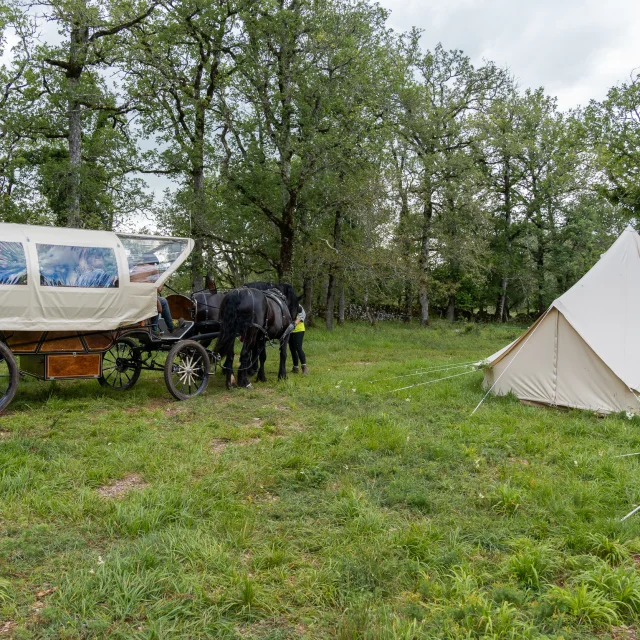 Arrivée de la calèche au campement