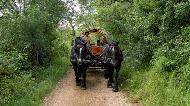 En calèche en pleine nature