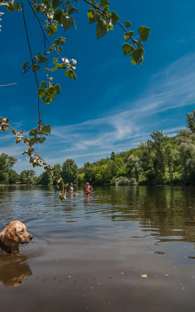 Baignade dans la Dordogne à Vayrac