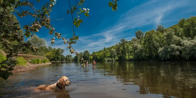 Baignade dans la Dordogne à Vayrac