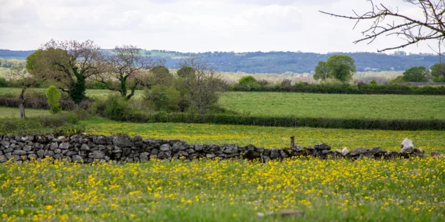 230420143258-Pelouses-fleuries-au-printemps-a-Couzou-Cyril-Novello-Lot-Tourisme_1024x682.jpg