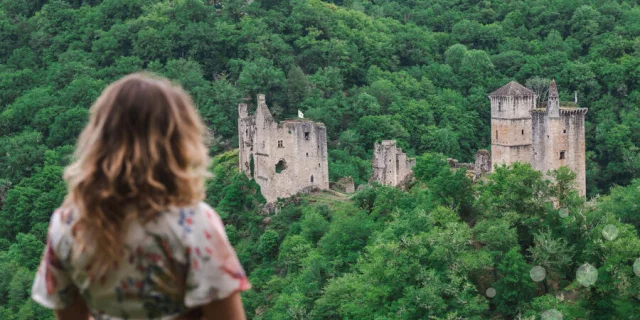 PANORAMA SUR LES TOURS DE MERLE