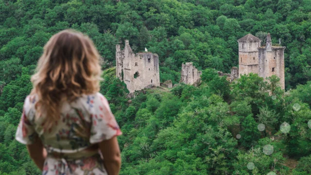 PANORAMA SUR LES TOURS DE MERLE