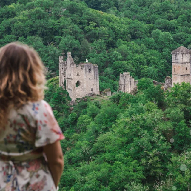 PANORAMA SUR LES TOURS DE MERLE