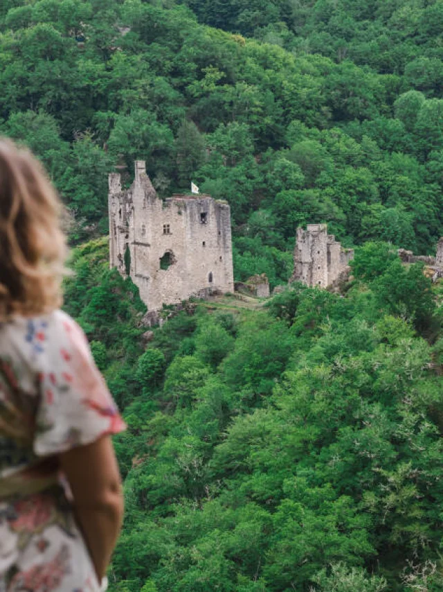 PANORAMA SUR LES TOURS DE MERLE