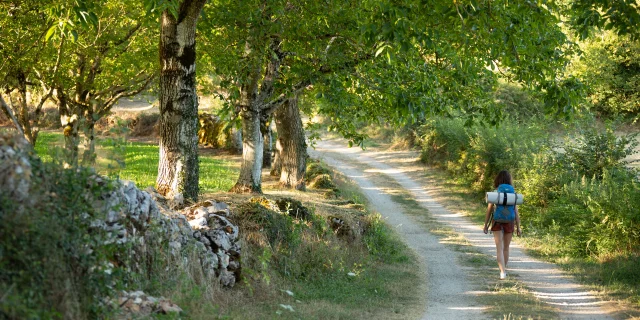 Chemin de Compostelle