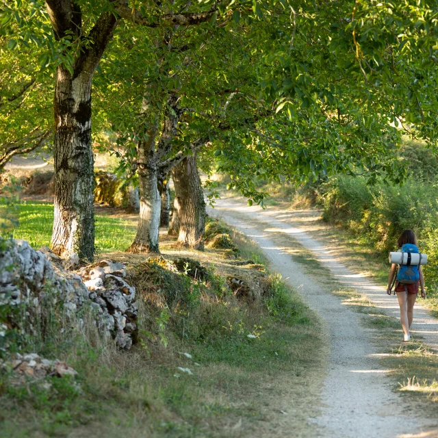 Chemin de Compostelle