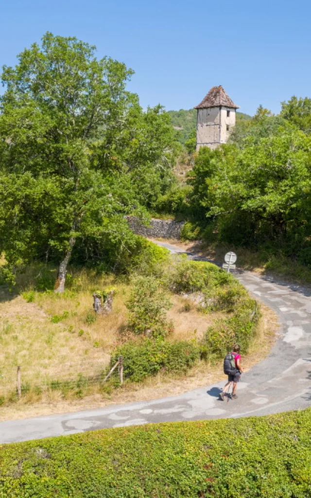 Sur le GR6 - vers Caoulet