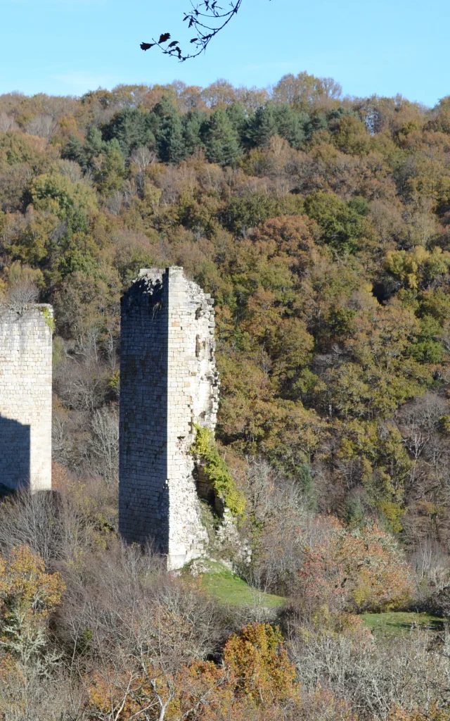 Tours de Carbonnières