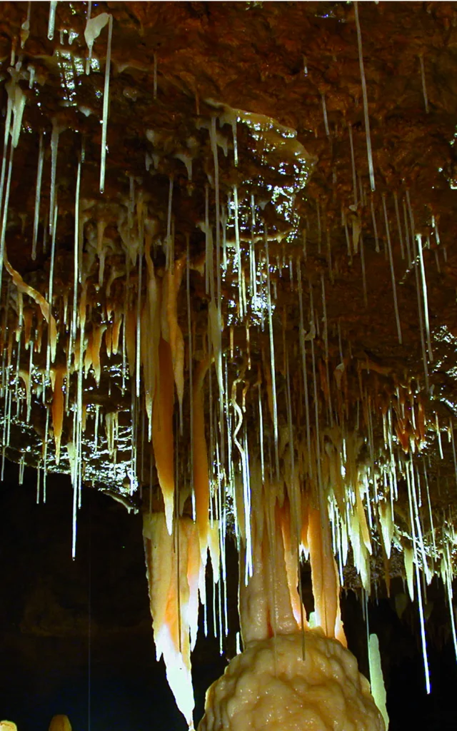 4116 Grottes De Tourtoirac Mairie De Tourtoirac