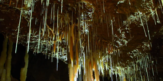 4116 Grottes De Tourtoirac Mairie De Tourtoirac