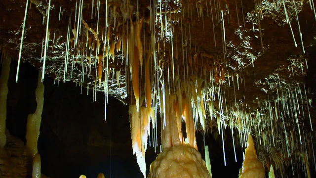 4116 Grottes De Tourtoirac Mairie De Tourtoirac