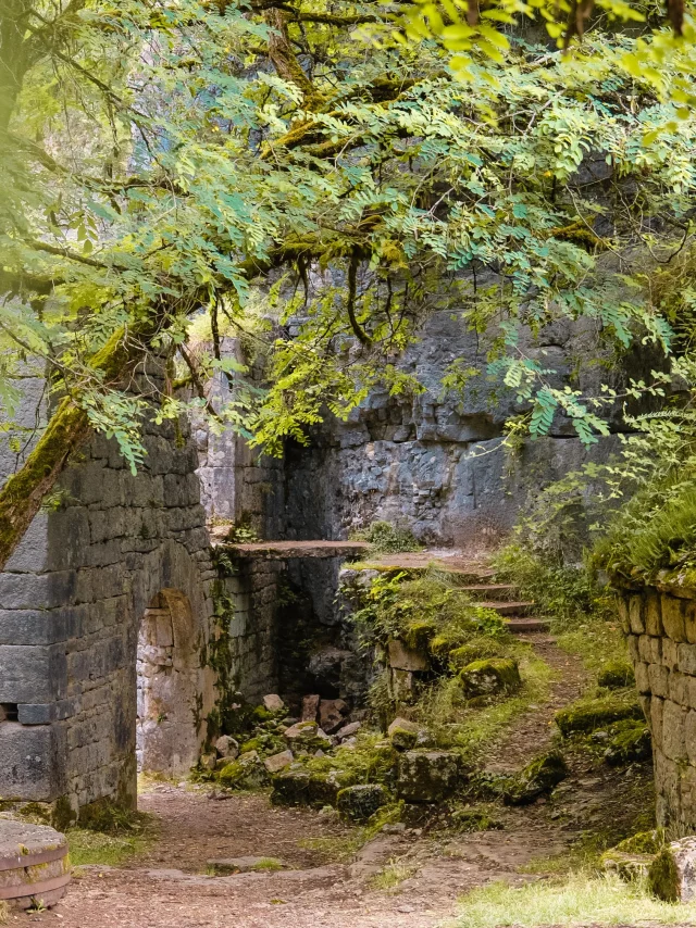 Les vestiges du Moulin du Saut, nichés dans leur écrin de verdure