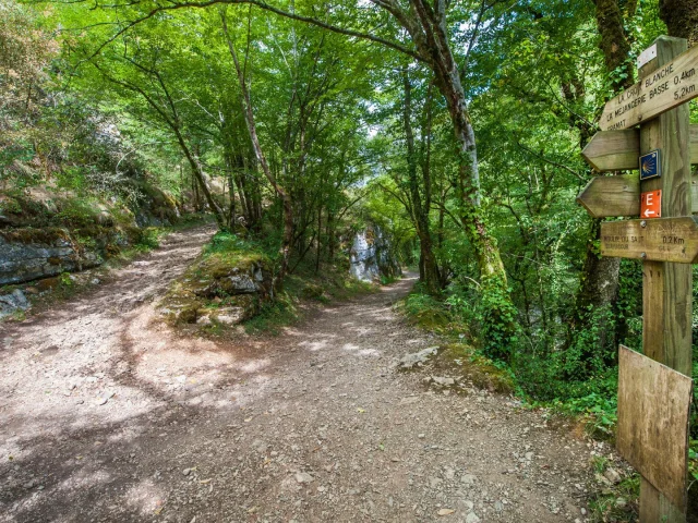 Sur les sentiers de la randonnée du Moulin du Saut