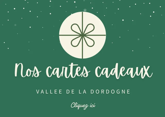 Carte-Bon-Cadeau-Noel-Moderne-Minimal-Illustre-Colore.jpg