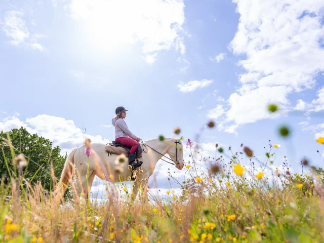 Randonnée à cheval