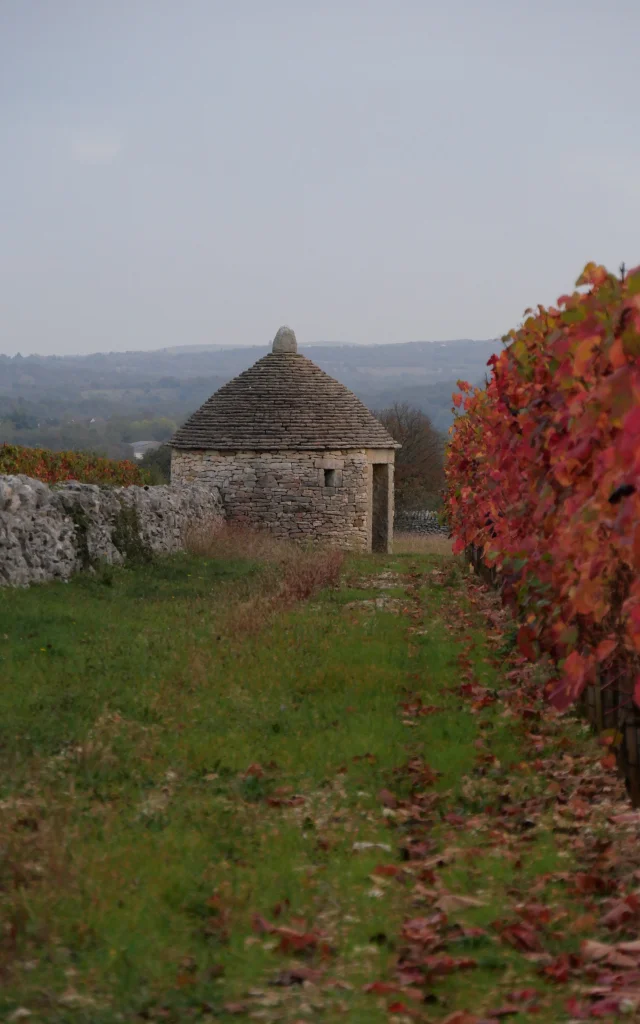 Vignes Gariotte 1 Rotated