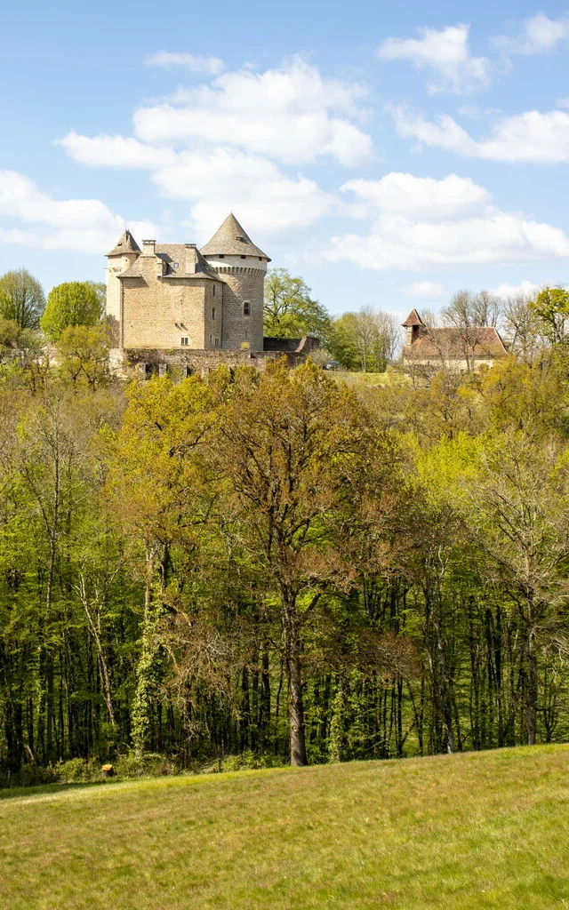 Château de Saignes